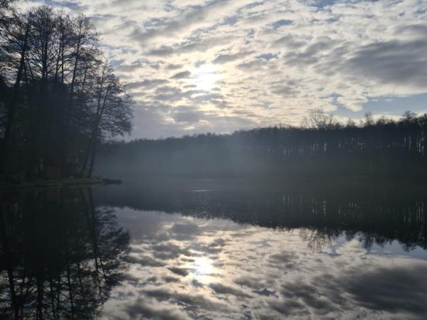 Svítání nad rybníkem
