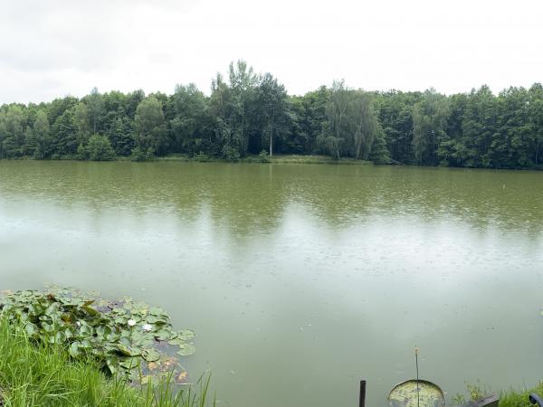 Panorama rybníku 